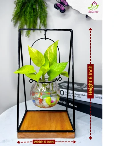 Tabletop Hydroponic Plants Hanging Glass Vase and Metal Frame