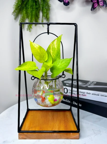 Tabletop Hydroponic Plants Hanging Glass Vase and Metal Frame