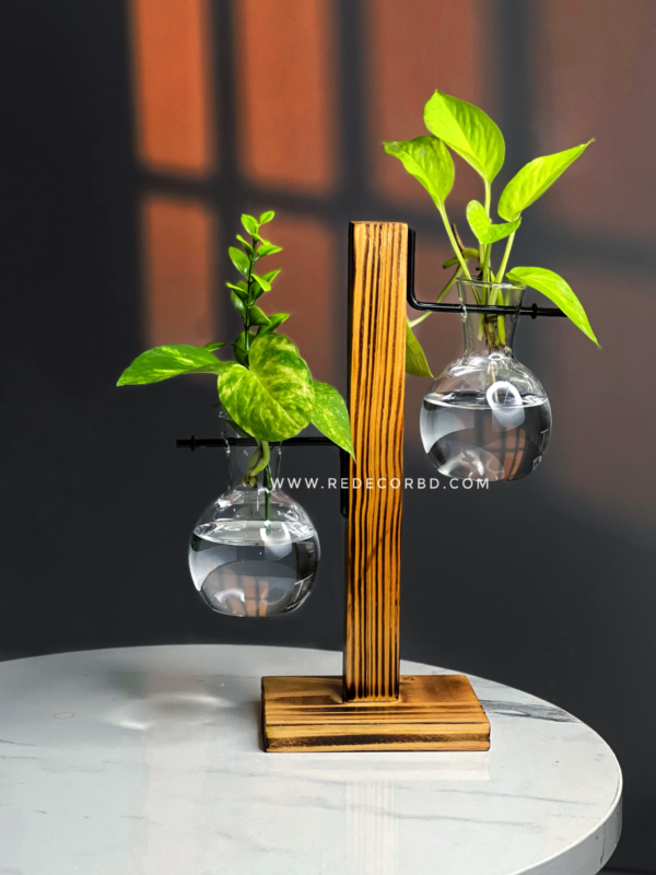 Bulb Glass Planter with Wooden Stand